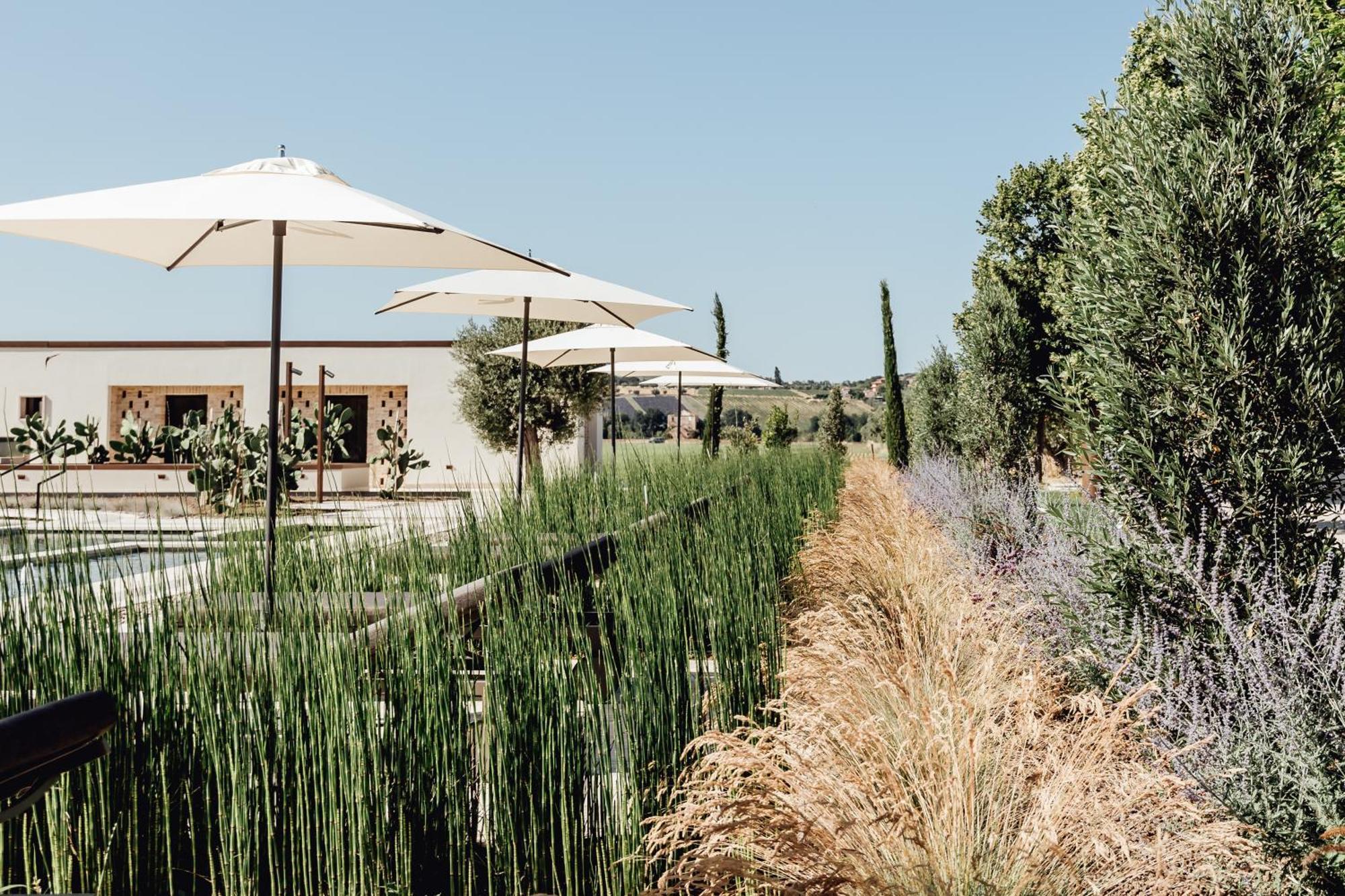Villa Corallo Sant'Omero Εξωτερικό φωτογραφία